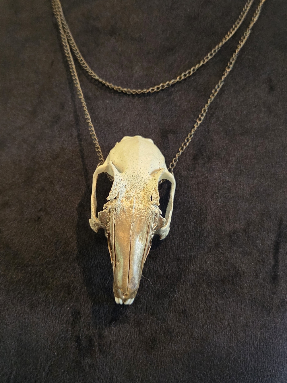 Rabbit Skull Necklace